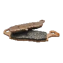 229.webp