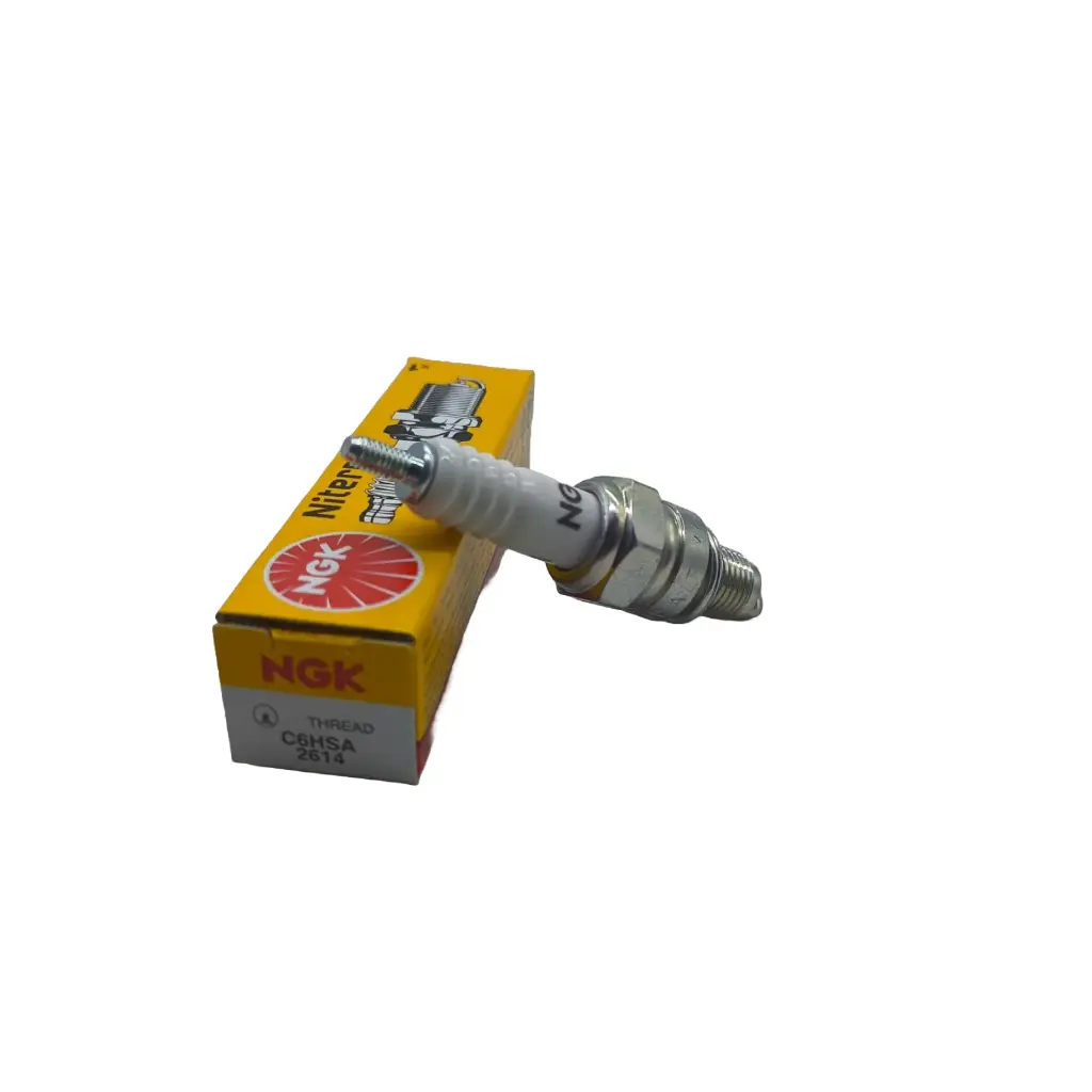 Bujia NGK C6HSA