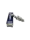 Bujia NGK BPR6EIX Iridium