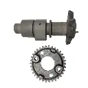 Arbol de Levas Kawasaki Brute Force 750 2012-2022 Delantero