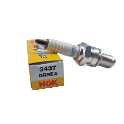 [BJ-UN-03437] Bujia NGK DR9EA